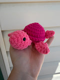 Baby Turtle