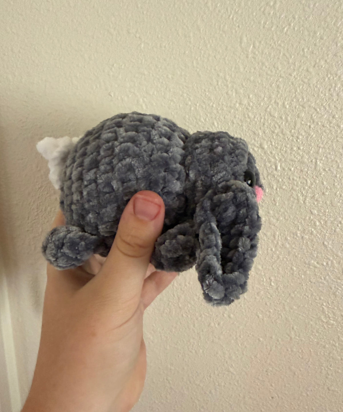 Fat Bunny